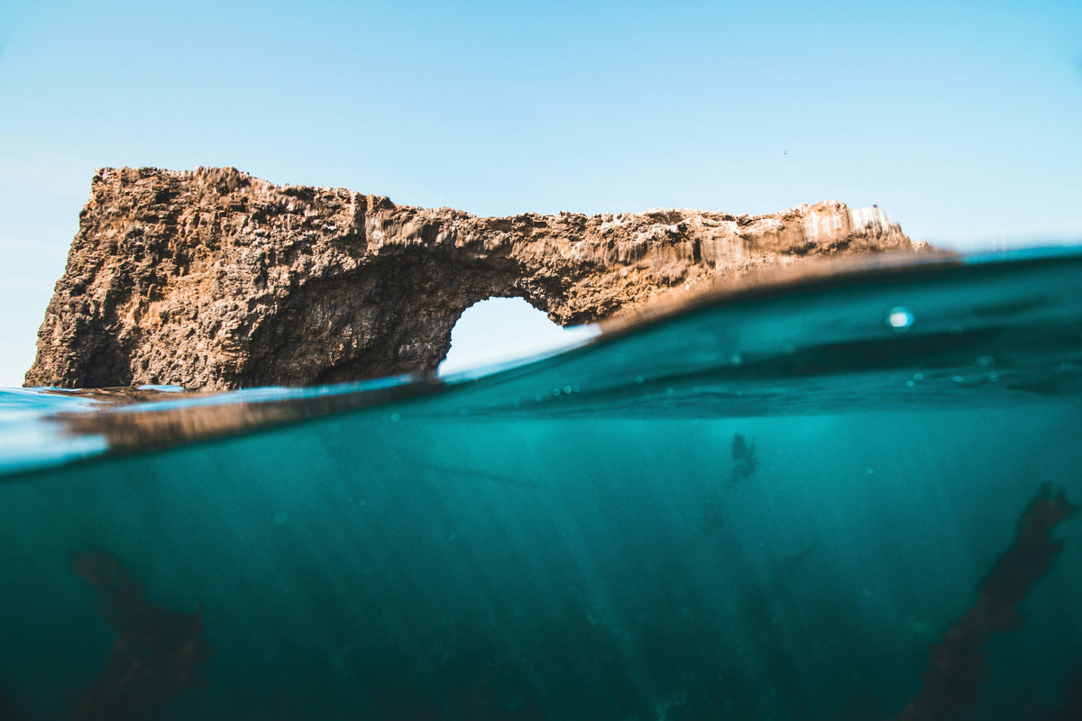 Our impact – protecting the Bournemouth coastline | Local Apparel